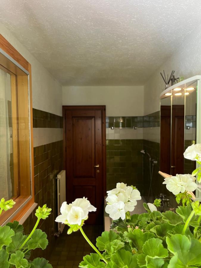 Chalet Blanc "Le Flocon" Courmayeur Eksteriør bilde
