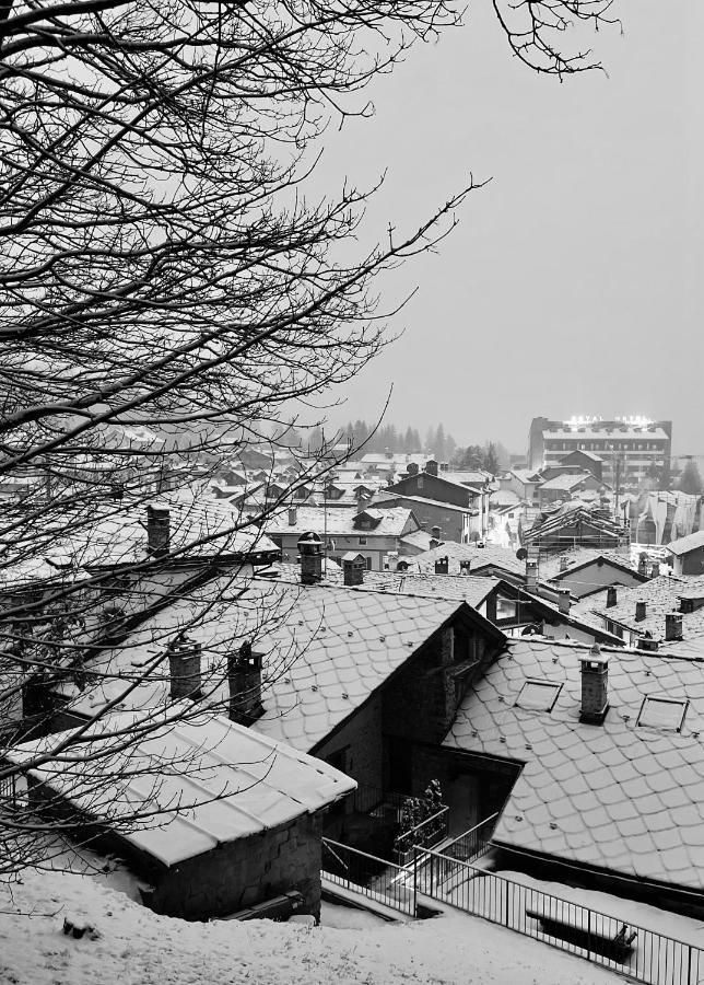 Chalet Blanc "Le Flocon" Courmayeur Eksteriør bilde